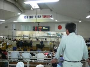 p1050180